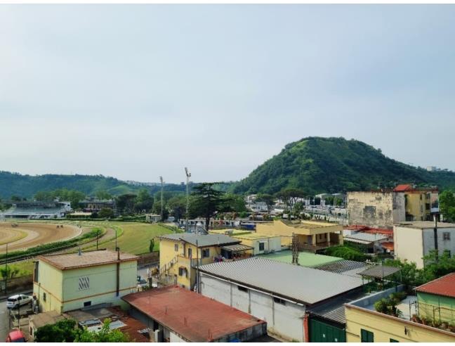 Anteprima foto 6 - Appartamento in Vendita a Napoli - Agnano