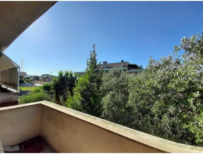 Anteprima foto 5 - Appartamento in Vendita a Nettuno (Roma)