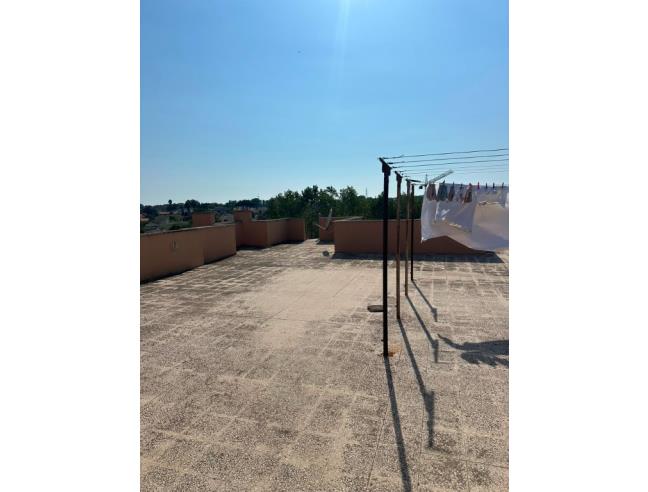 Anteprima foto 7 - Appartamento in Vendita a Nettuno (Roma)