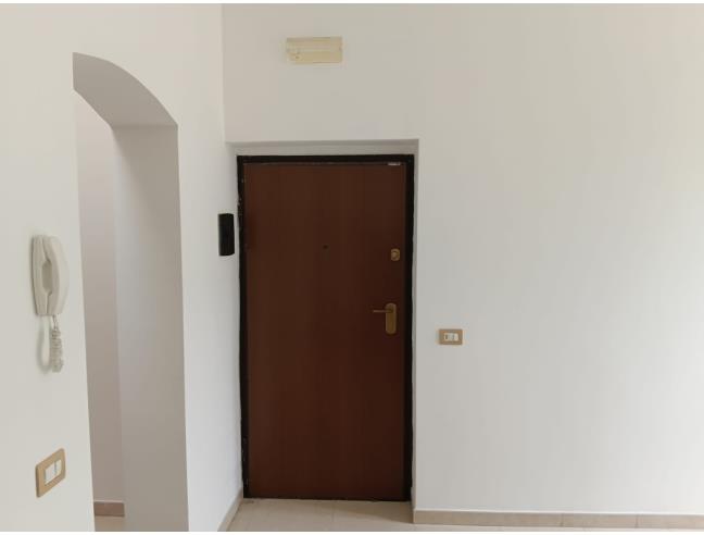 Anteprima foto 5 - Appartamento in Vendita a Noicàttaro (Bari)