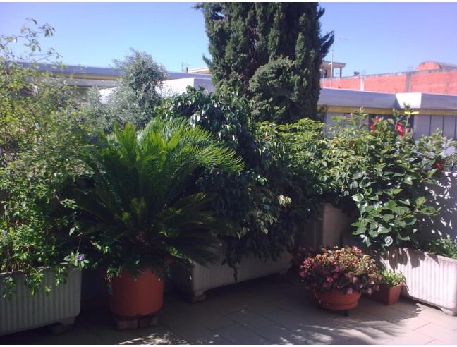 Anteprima foto 8 - Appartamento in Vendita a Olbia (Sassari)