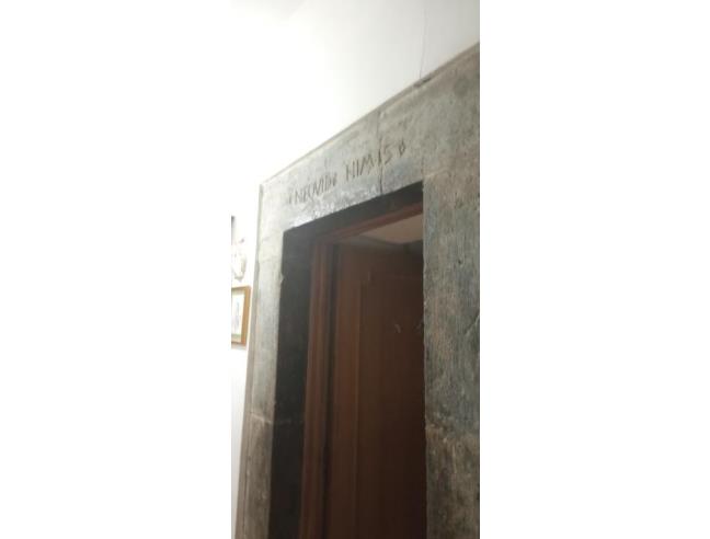 Anteprima foto 5 - Appartamento in Vendita a Orte (Viterbo)