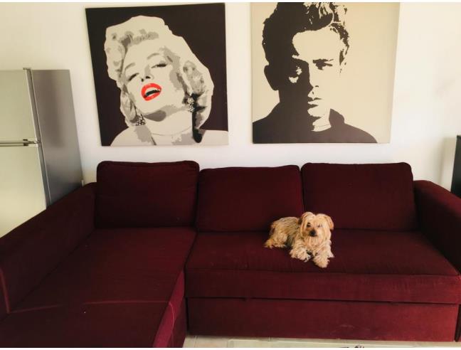 Anteprima foto 3 - Appartamento in Vendita a Osimo (Ancona)