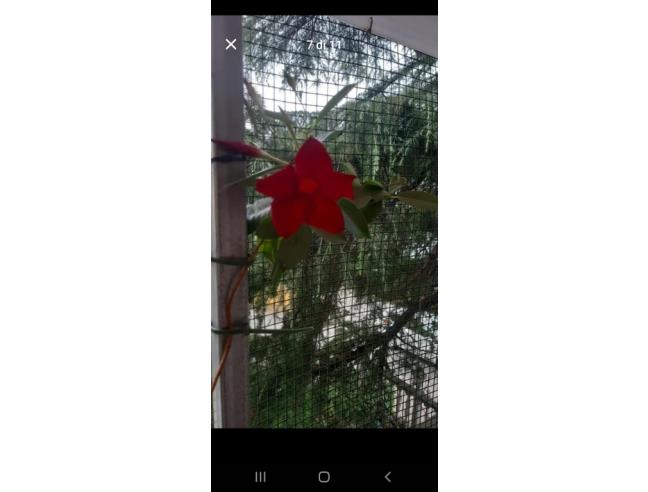 Anteprima foto 3 - Appartamento in Vendita a Osimo - San Biagio