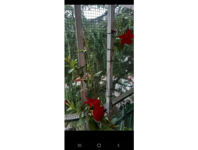 Anteprima foto 6 - Appartamento in Vendita a Osimo - San Biagio