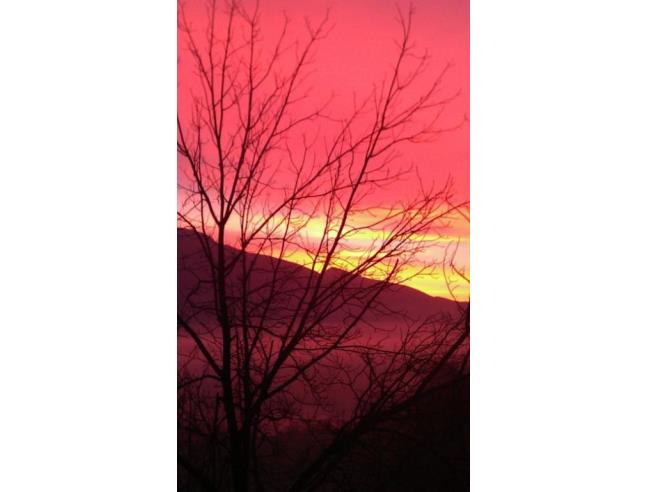 Anteprima foto 4 - Appartamento in Vendita a Palombara Sabina - Cretone