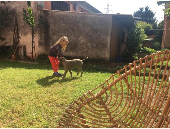 Anteprima foto 8 - Appartamento in Vendita a Pavia - Centro città