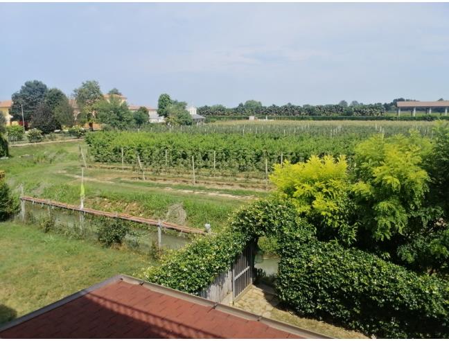 Anteprima foto 5 - Appartamento in Vendita a Pernumia (Padova)