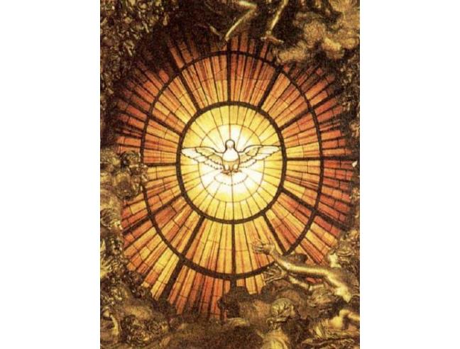 Anteprima foto 8 - Appartamento in Vendita a Petritoli (Fermo)