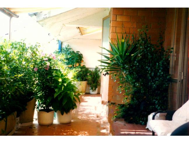 Anteprima foto 8 - Appartamento in Vendita a Piansano (Viterbo)