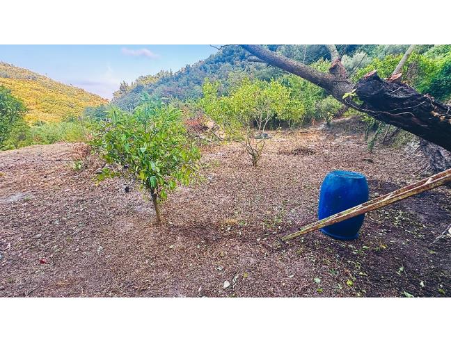 Anteprima foto 8 - Appartamento in Vendita a Pietra Ligure (Savona)