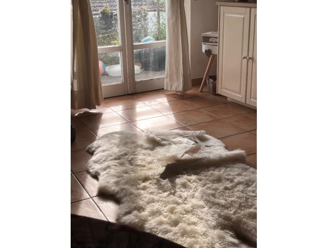 Anteprima foto 1 - Appartamento in Vendita a Polverigi (Ancona)