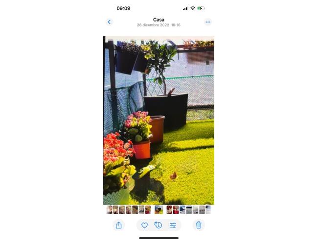 Anteprima foto 7 - Appartamento in Vendita a Polverigi (Ancona)