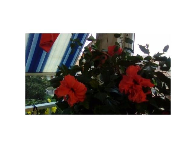 Anteprima foto 7 - Appartamento in Vendita a Pomezia (Roma)