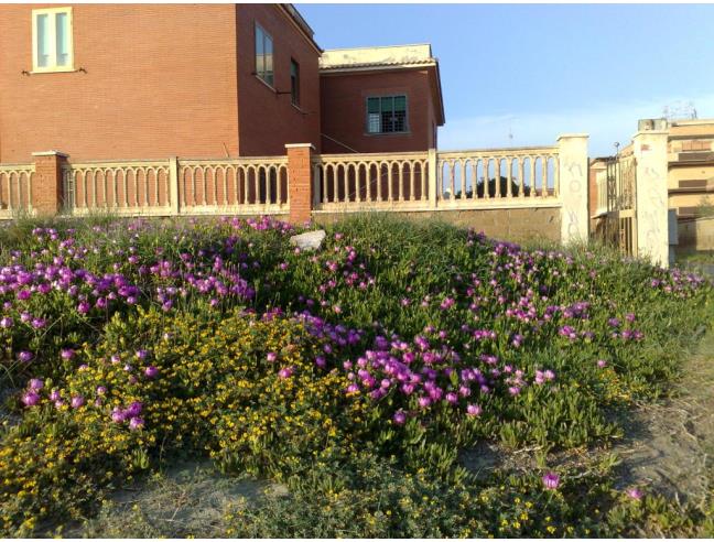 Anteprima foto 1 - Appartamento in Vendita a Pomezia - Torvaianica