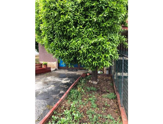 Anteprima foto 5 - Appartamento in Vendita a Pontinia (Latina)