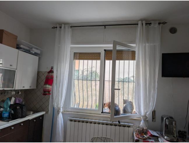 Anteprima foto 4 - Appartamento in Vendita a Porto Sant'Elpidio (Fermo)