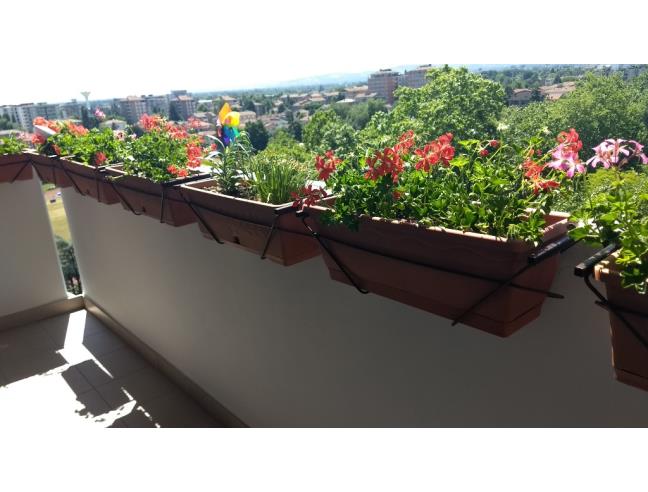 Anteprima foto 7 - Appartamento in Vendita a Reggio Emilia (Reggio Emilia)