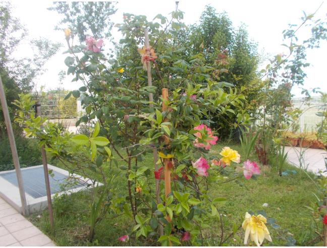 Anteprima foto 1 - Appartamento in Vendita a Rimini - Gaiofana