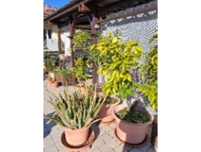 Anteprima foto 3 - Appartamento in Vendita a Rimini - Rivazzurra