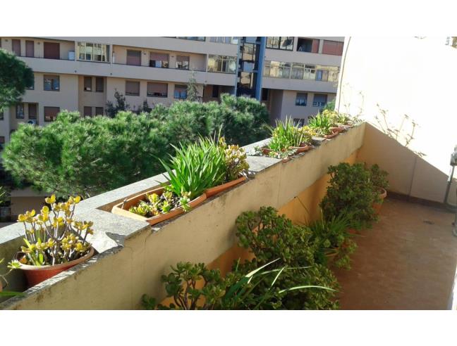 Anteprima foto 3 - Appartamento in Vendita a Roma - Ardeatino