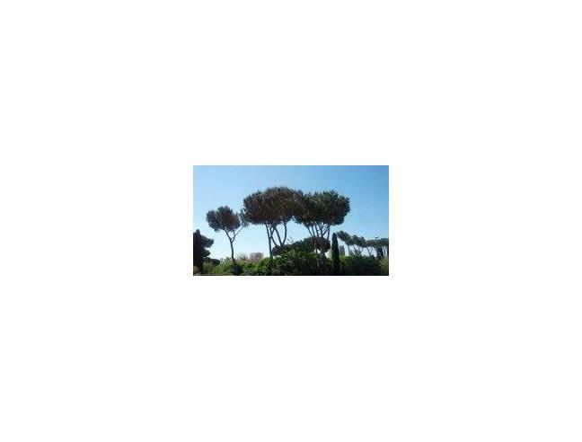 Anteprima foto 2 - Appartamento in Vendita a Roma - Laurentina