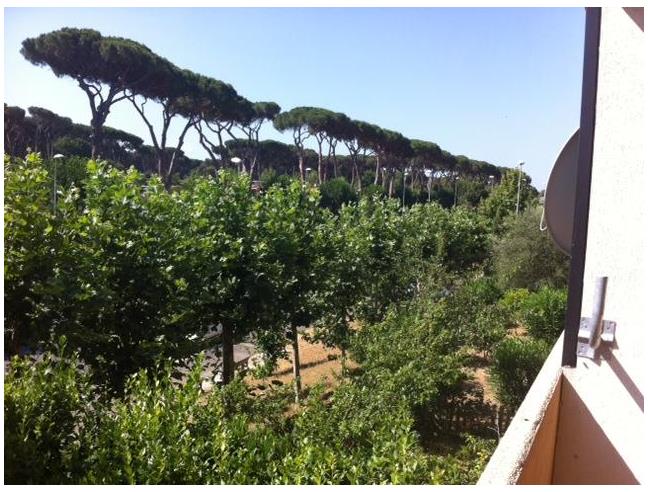 Anteprima foto 5 - Appartamento in Vendita a Roma - Malafede