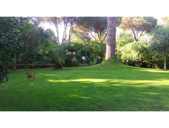 Anteprima foto 7 - Appartamento in Vendita a Roma - Mostacciano