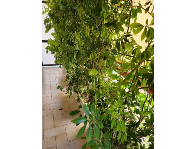 Anteprima foto 5 - Appartamento in Vendita a Roma - Ostia