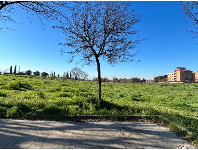 Anteprima foto 2 - Appartamento in Vendita a Roma - Selva Candida