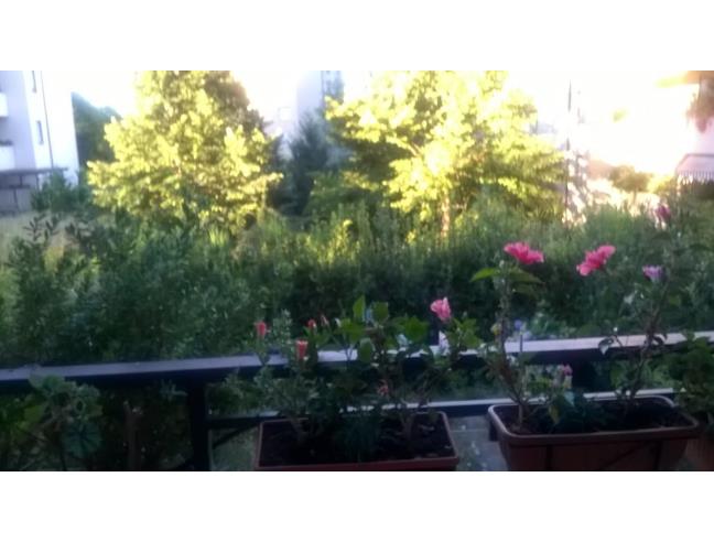 Anteprima foto 6 - Appartamento in Vendita a Roma - Torrino