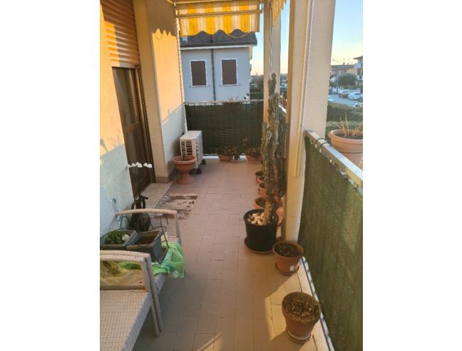 Anteprima foto 6 - Appartamento in Vendita a Roncoferraro - Barbasso