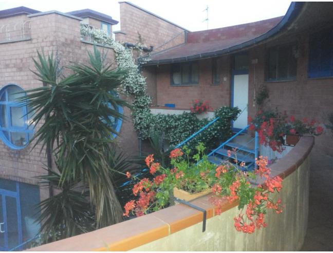 Anteprima foto 4 - Appartamento in Vendita a Rosignano Marittimo - Castiglioncello