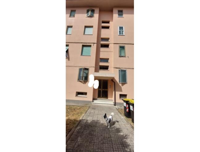 Anteprima foto 5 - Appartamento in Vendita a Rosignano Marittimo (Livorno)