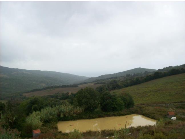 Anteprima foto 1 - Appartamento in Vendita a Rosignano Marittimo - Nibbiaia