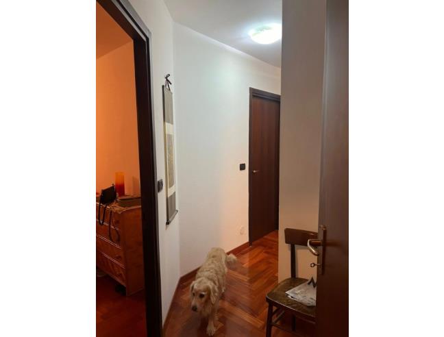 Anteprima foto 8 - Appartamento in Vendita a San Massimo (Campobasso)