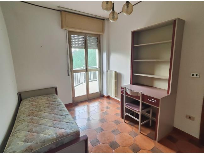 Anteprima foto 7 - Appartamento in Vendita a San Nicandro Garganico (Foggia)