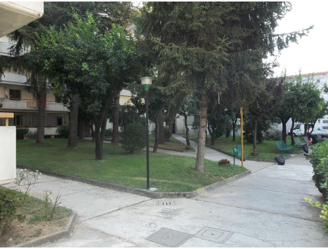 Anteprima foto 6 - Appartamento in Vendita a San Nicola la Strada (Caserta)