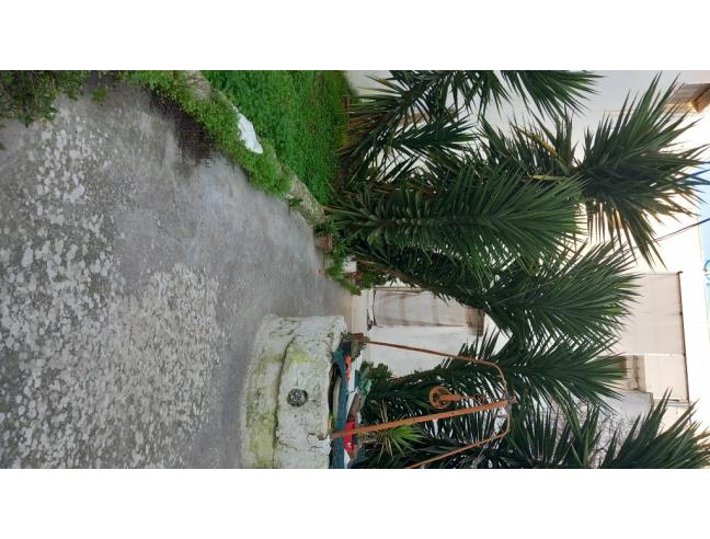 Anteprima foto 7 - Appartamento in Vendita a San Pietro Vernotico (Brindisi)