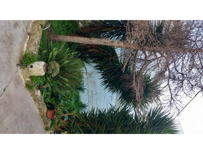 Anteprima foto 8 - Appartamento in Vendita a San Pietro Vernotico (Brindisi)