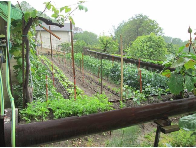 Anteprima foto 4 - Appartamento in Vendita a San Potito Ultra (Avellino)