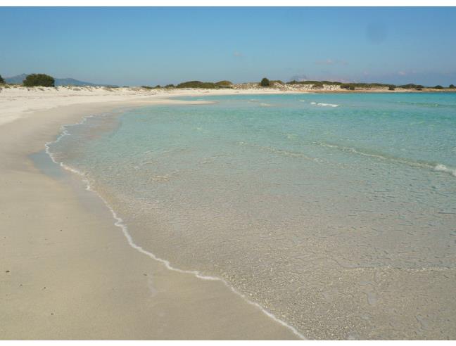 Anteprima foto 2 - Appartamento in Vendita a San Teodoro (Sassari)