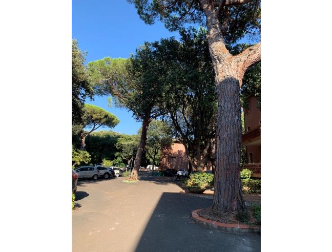 Anteprima foto 3 - Appartamento in Vendita a San Vincenzo (Livorno)