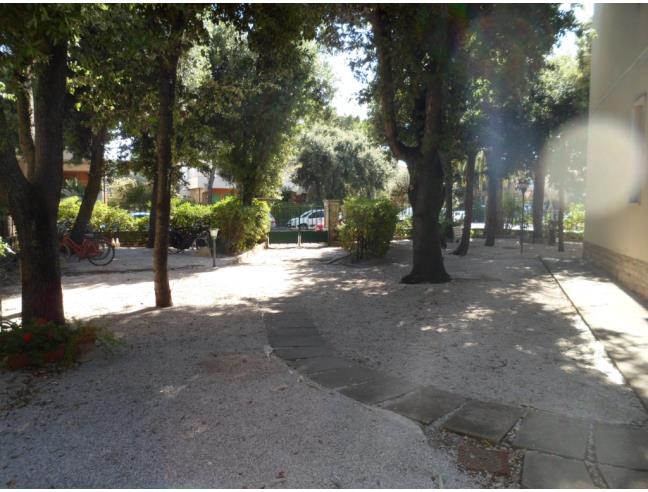 Anteprima foto 8 - Appartamento in Vendita a San Vincenzo (Livorno)