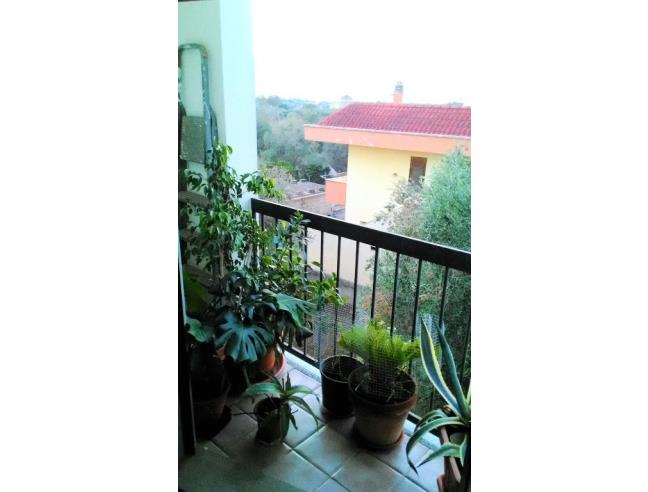 Anteprima foto 8 - Appartamento in Vendita a Sannicola (Lecce)