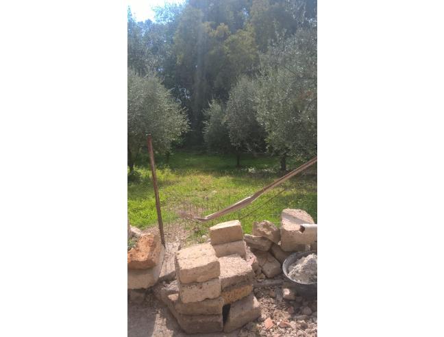 Anteprima foto 4 - Appartamento in Vendita a Sant'Angelo d'Alife (Caserta)