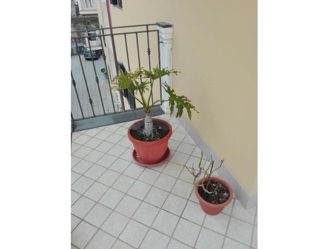 Anteprima foto 4 - Appartamento in Vendita a Santa Maria Capua Vetere (Caserta)