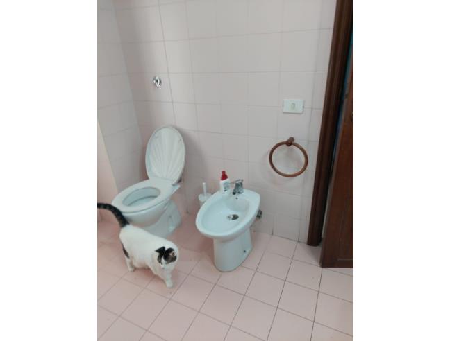 Anteprima foto 8 - Appartamento in Vendita a Santa Maria Capua Vetere (Caserta)