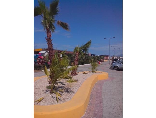 Anteprima foto 3 - Appartamento in Vendita a Santa Maria del Cedro (Cosenza)