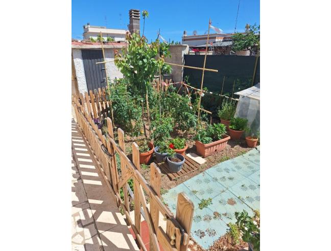 Anteprima foto 5 - Appartamento in Vendita a Santa Marinella - Perazzeta